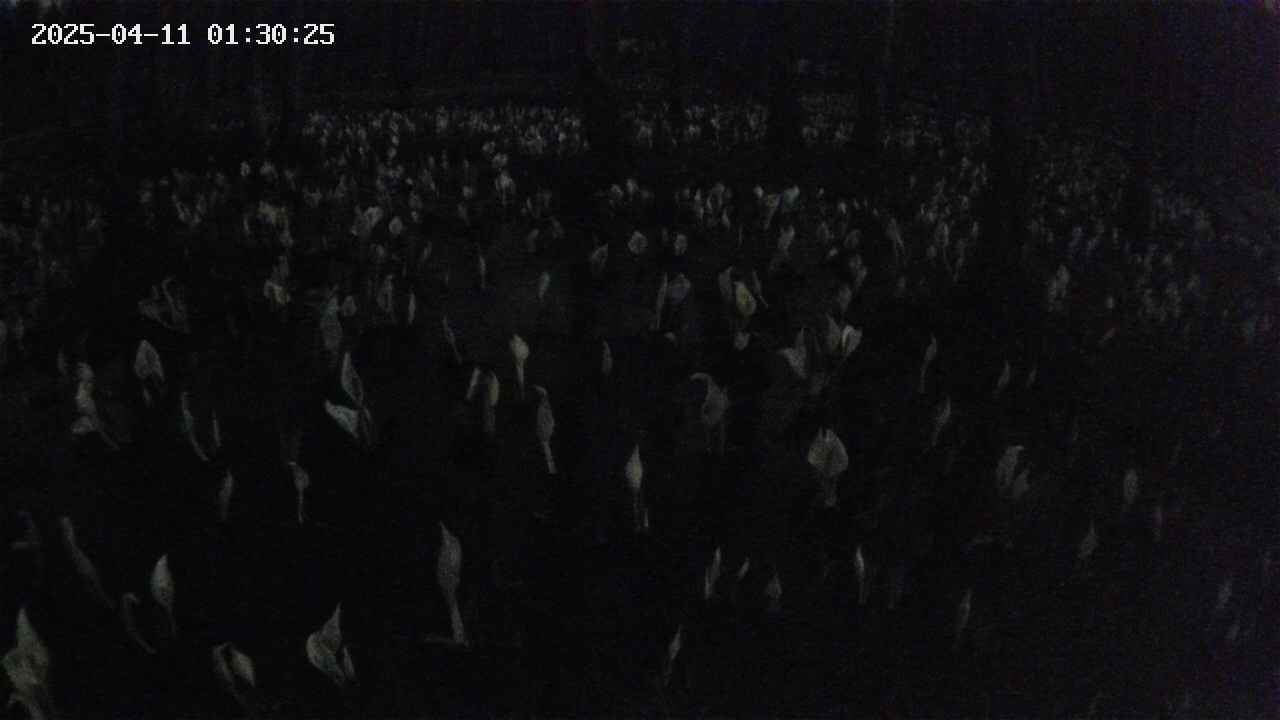 mizubasho2-20250411013026.jpg