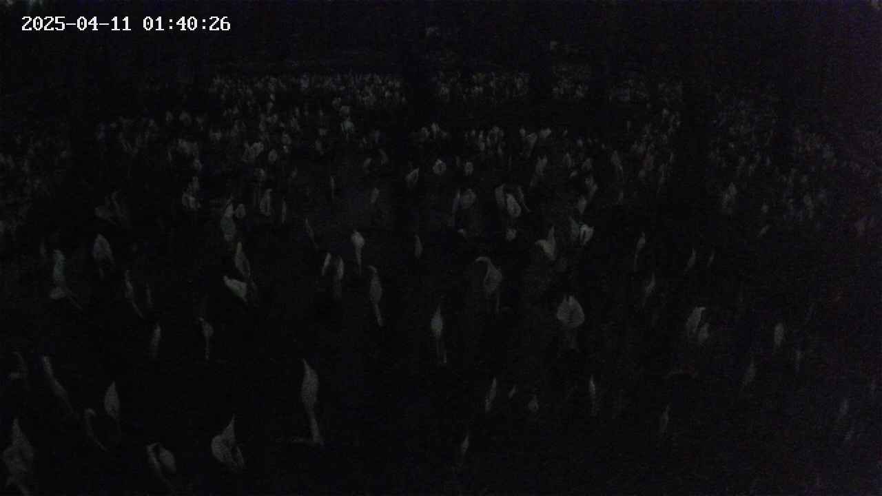 mizubasho2-20250411014027.jpg