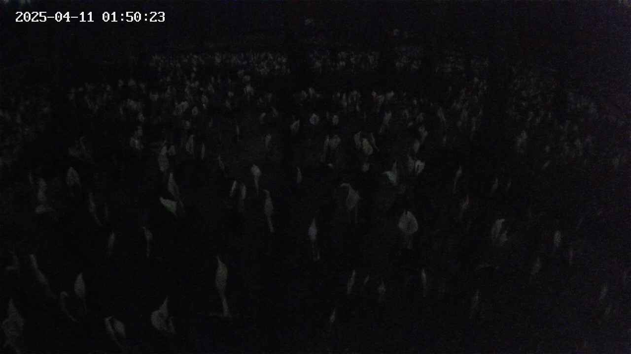 mizubasho2-20250411015024.jpg