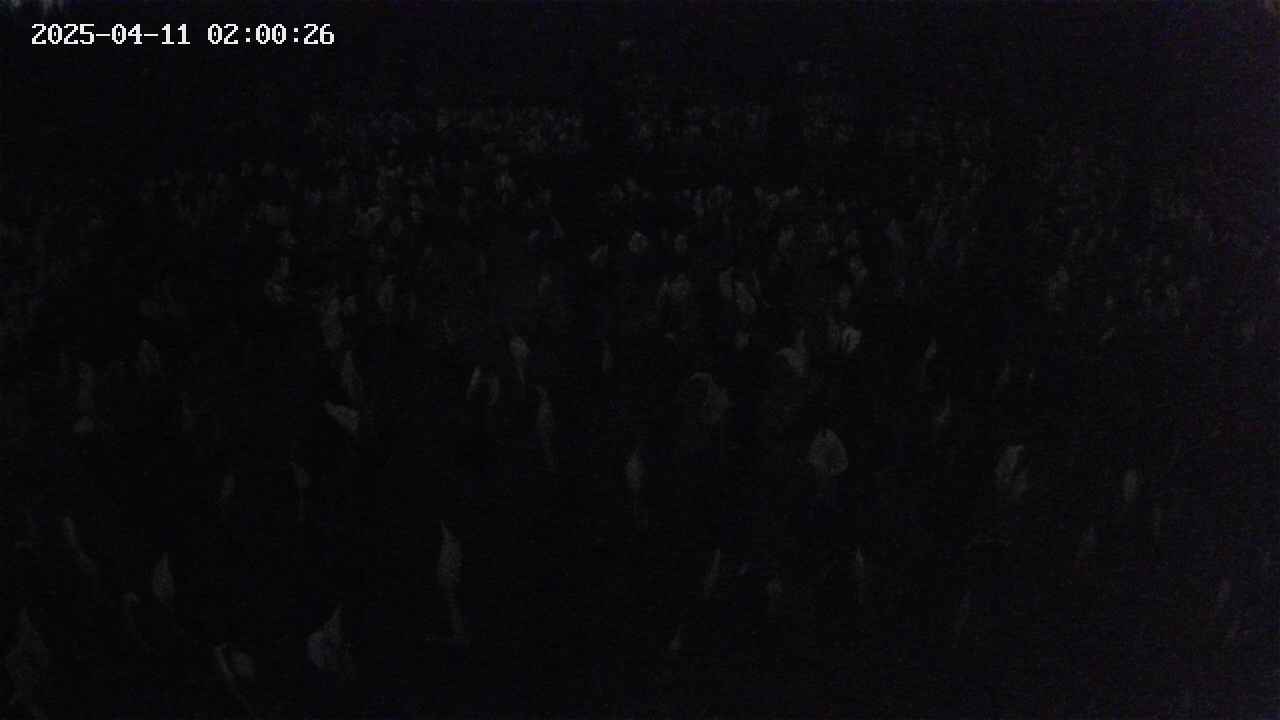 mizubasho2-20250411020027.jpg