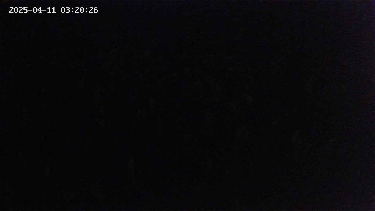 mizubasho2-20250411032027.jpg