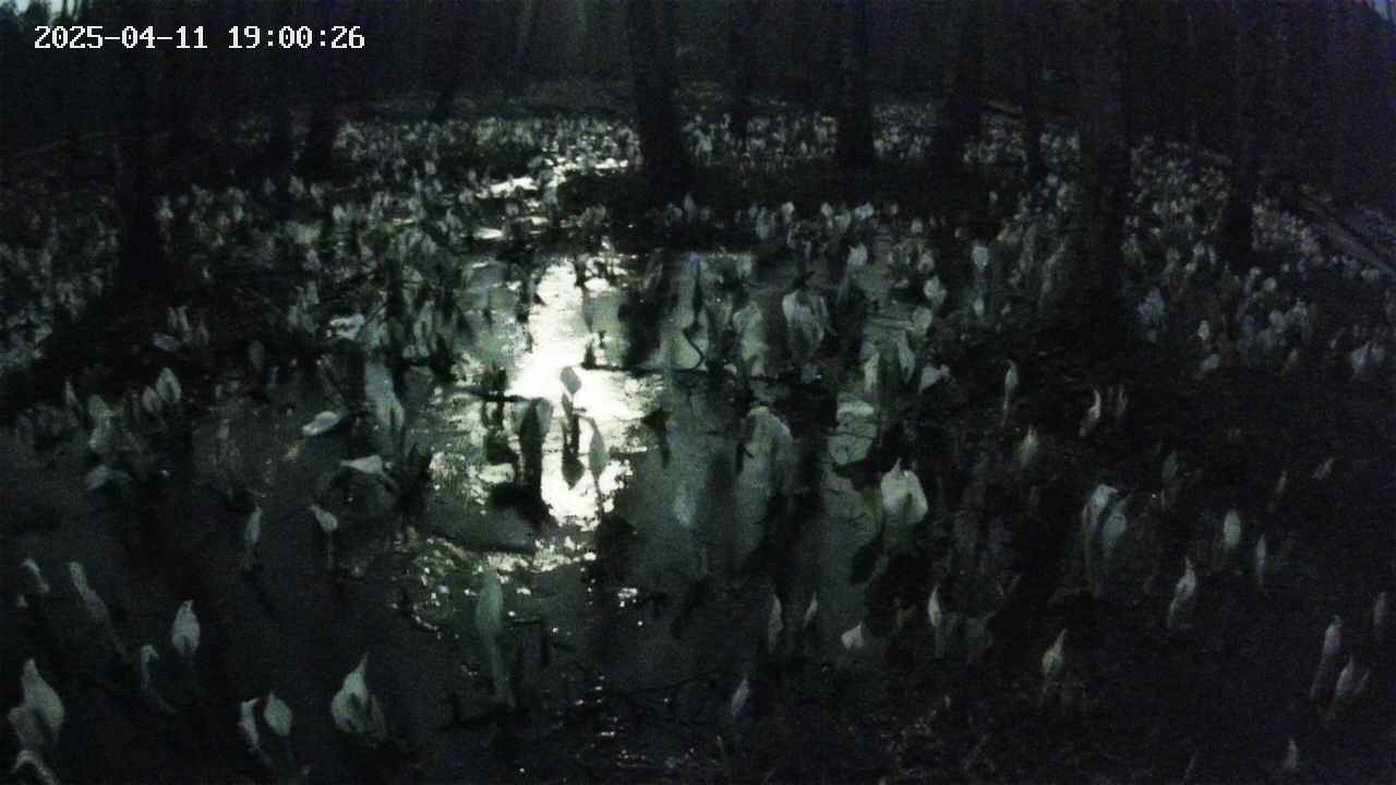 mizubasho2-20250411190027.jpg