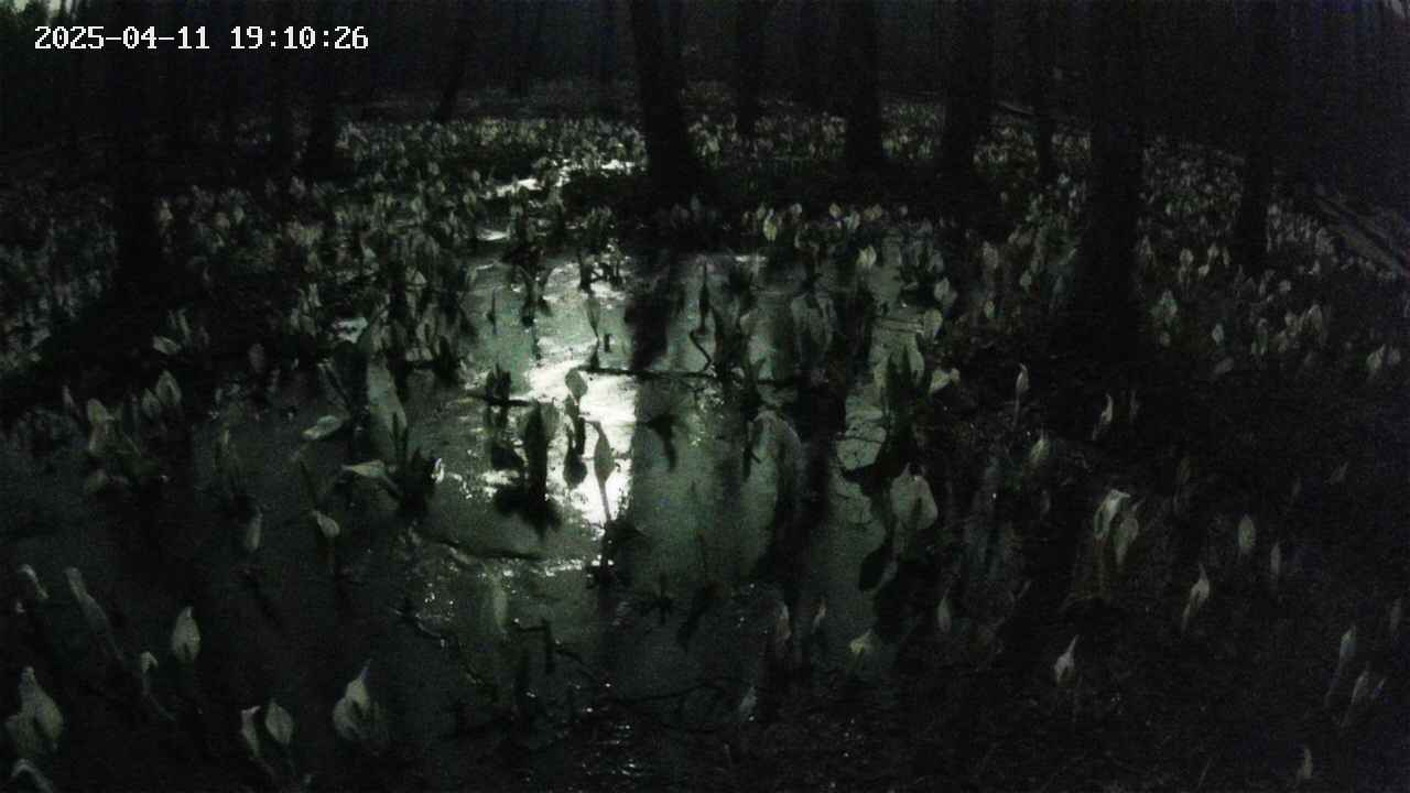 mizubasho2-20250411191027.jpg
