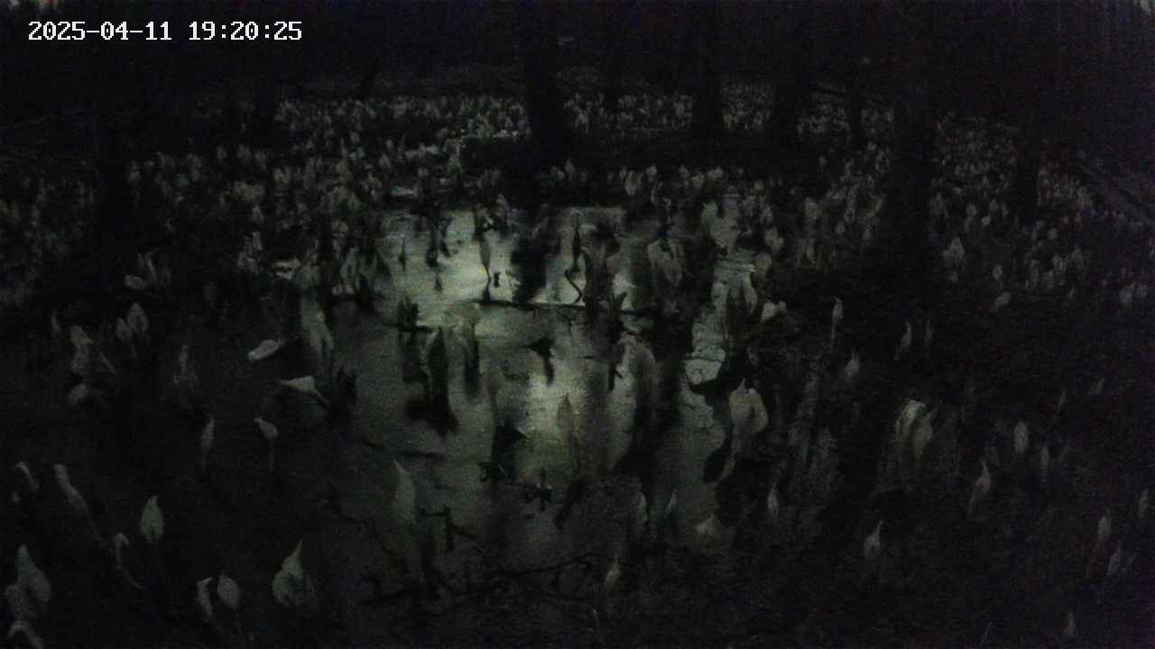 mizubasho2-20250411192026.jpg