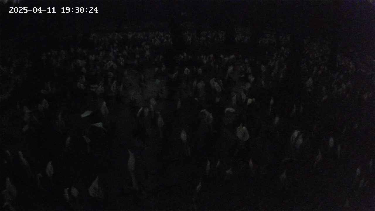mizubasho2-20250411193025.jpg