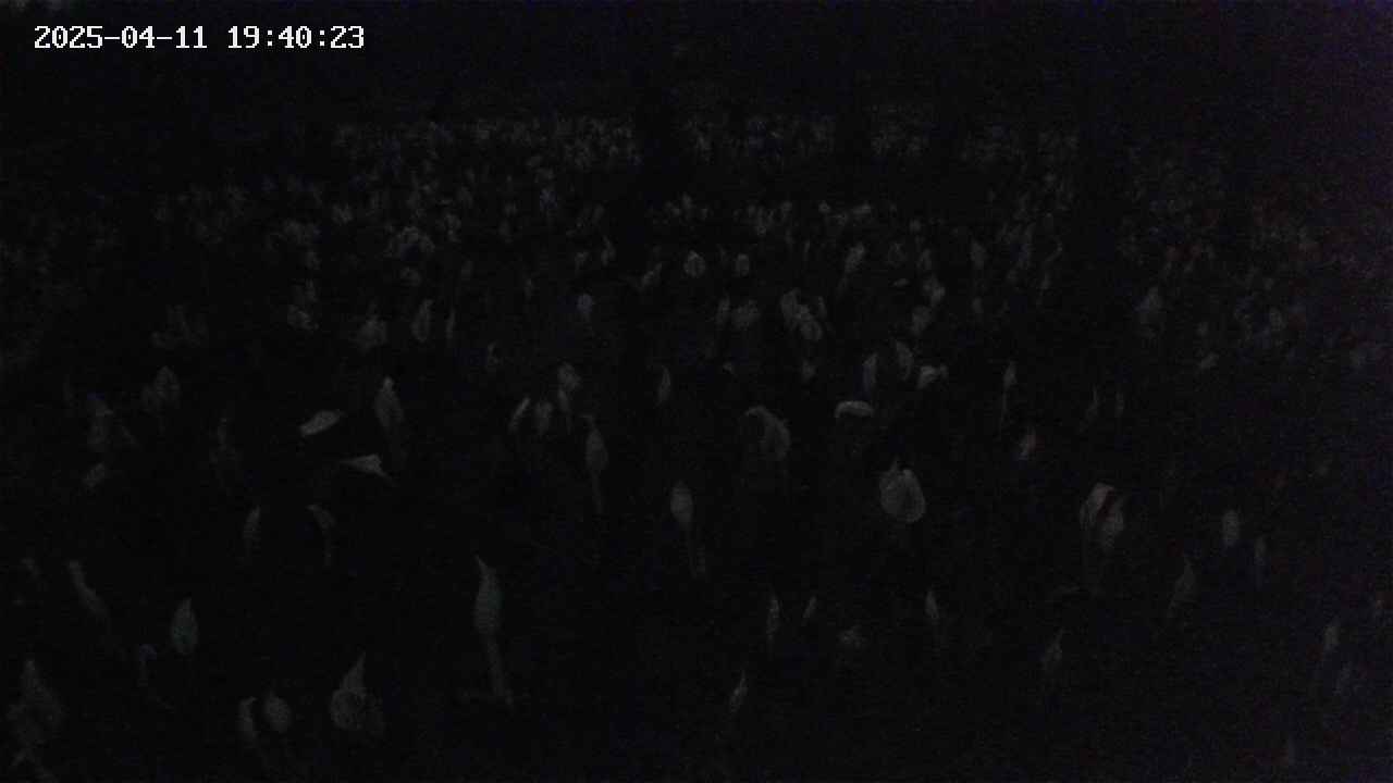 mizubasho2-20250411194024.jpg
