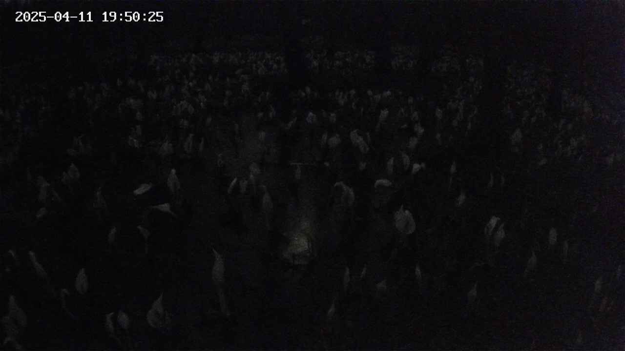 mizubasho2-20250411195026.jpg
