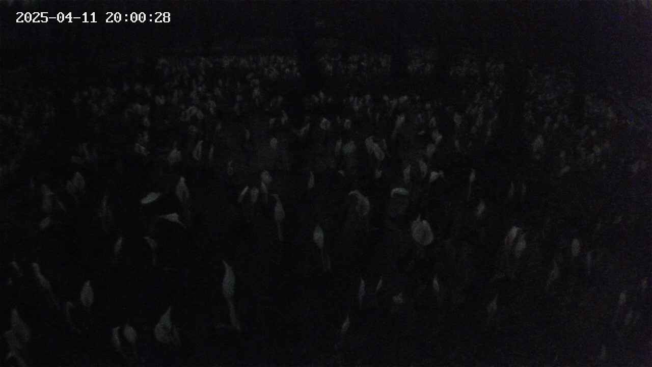 mizubasho2-20250411200029.jpg