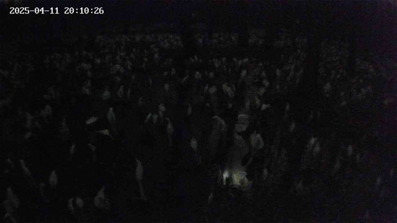 mizubasho2-20250411201027.jpg