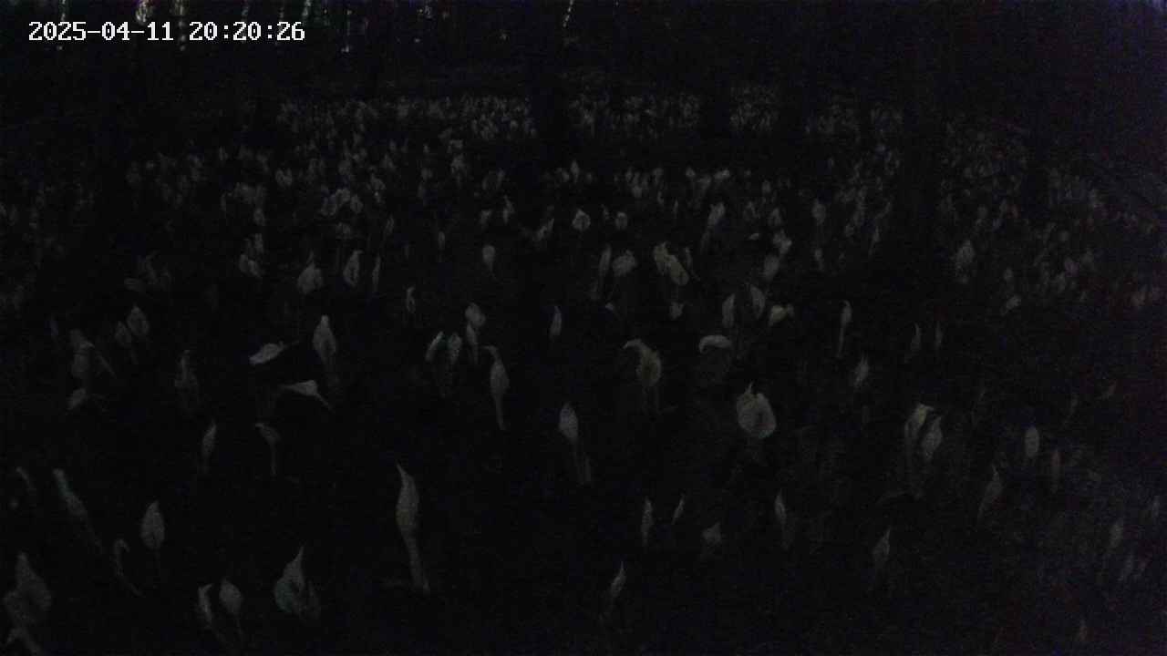 mizubasho2-20250411202027.jpg