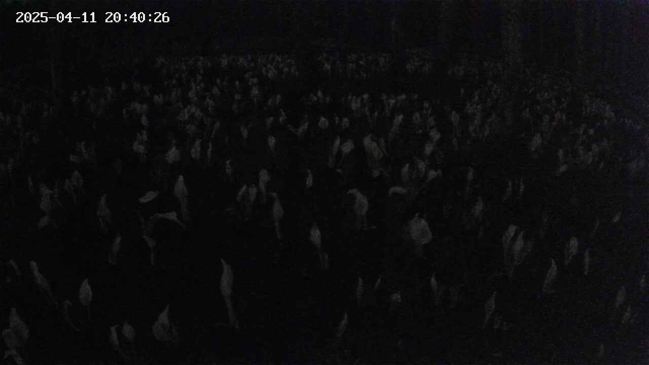 mizubasho2-20250411204026.jpg