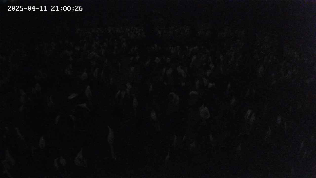 mizubasho2-20250411210026.jpg