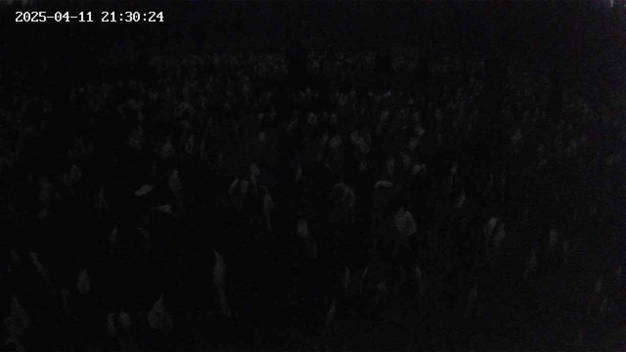 mizubasho2-20250411213025.jpg