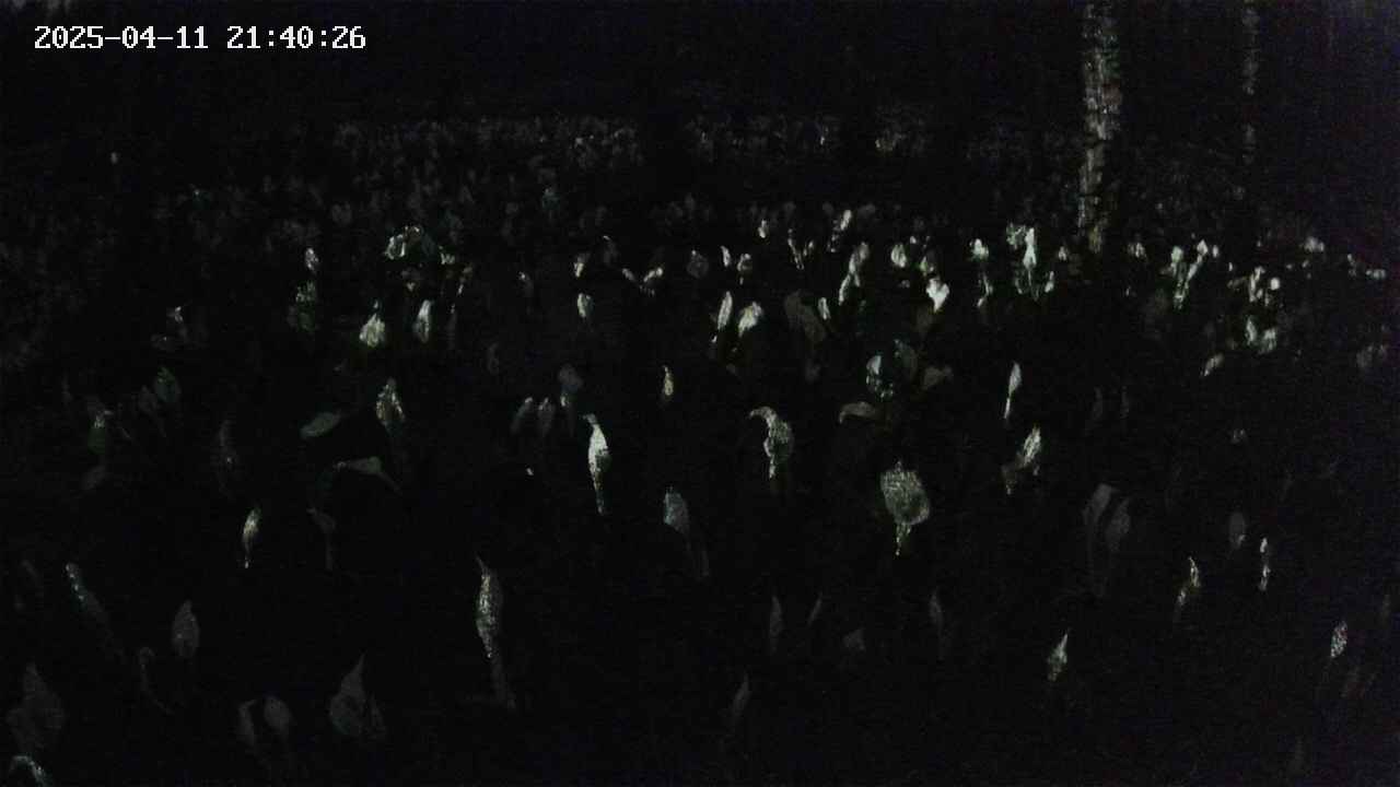mizubasho2-20250411214027.jpg