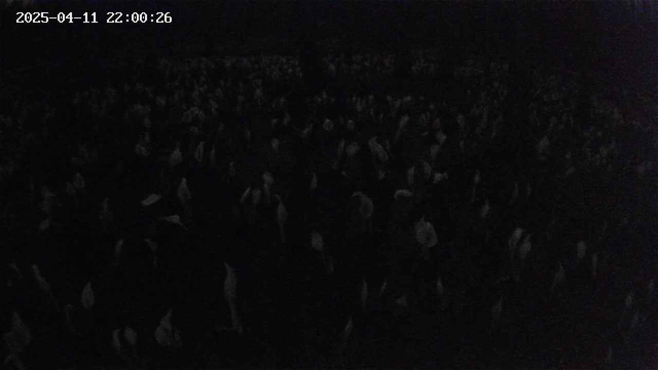 mizubasho2-20250411220027.jpg