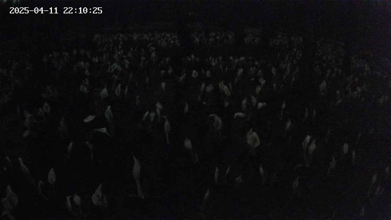 mizubasho2-20250411221026.jpg