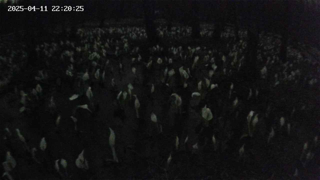 mizubasho2-20250411222026.jpg