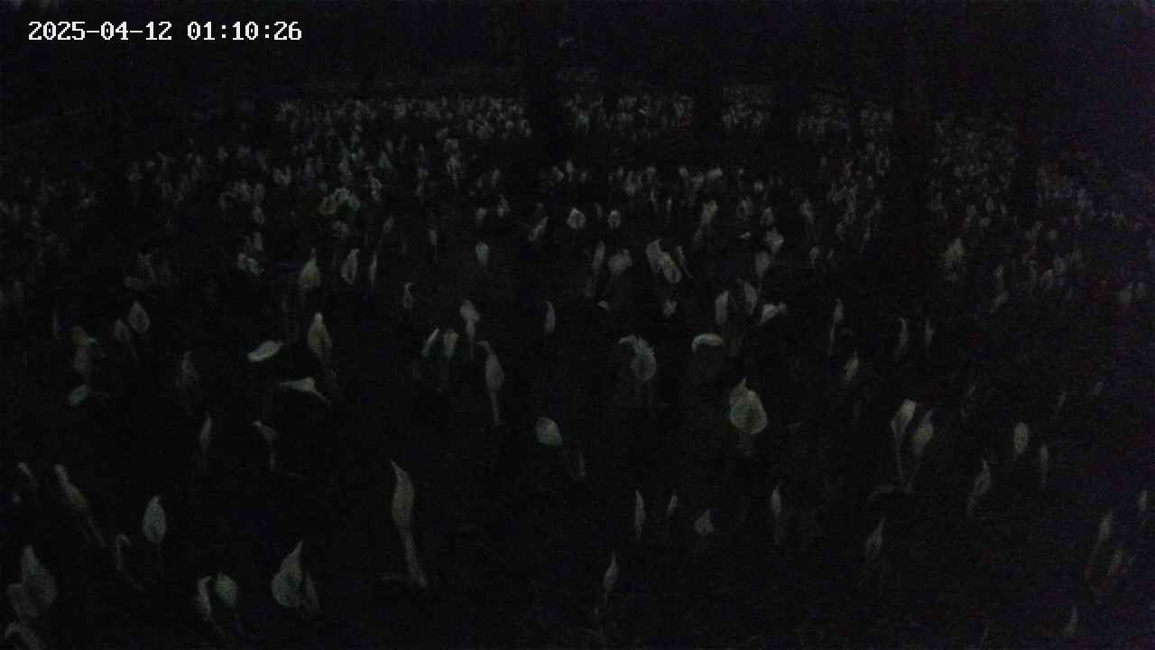 mizubasho2-20250412011028.jpg