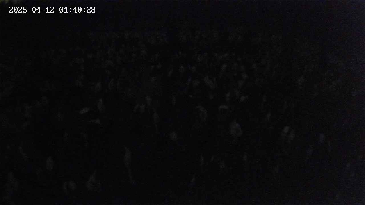 mizubasho2-20250412014028.jpg