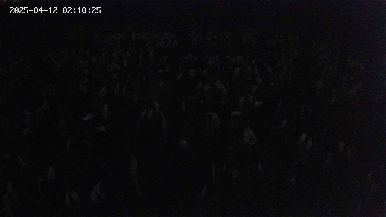 mizubasho2-20250412021025.jpg