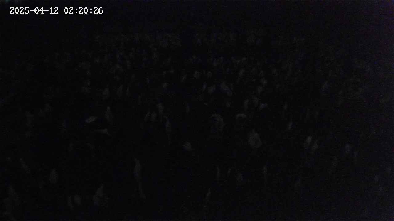 mizubasho2-20250412022027.jpg