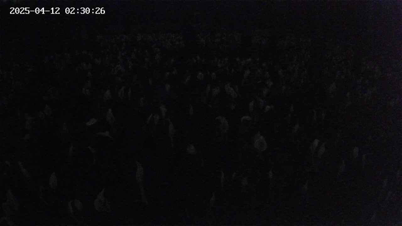 mizubasho2-20250412023027.jpg