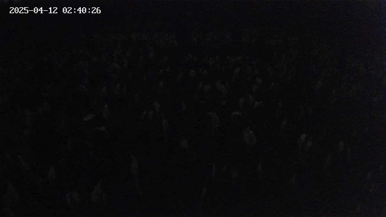 mizubasho2-20250412024027.jpg