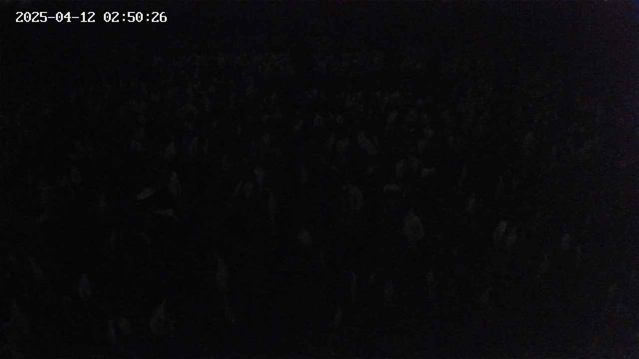 mizubasho2-20250412025027.jpg