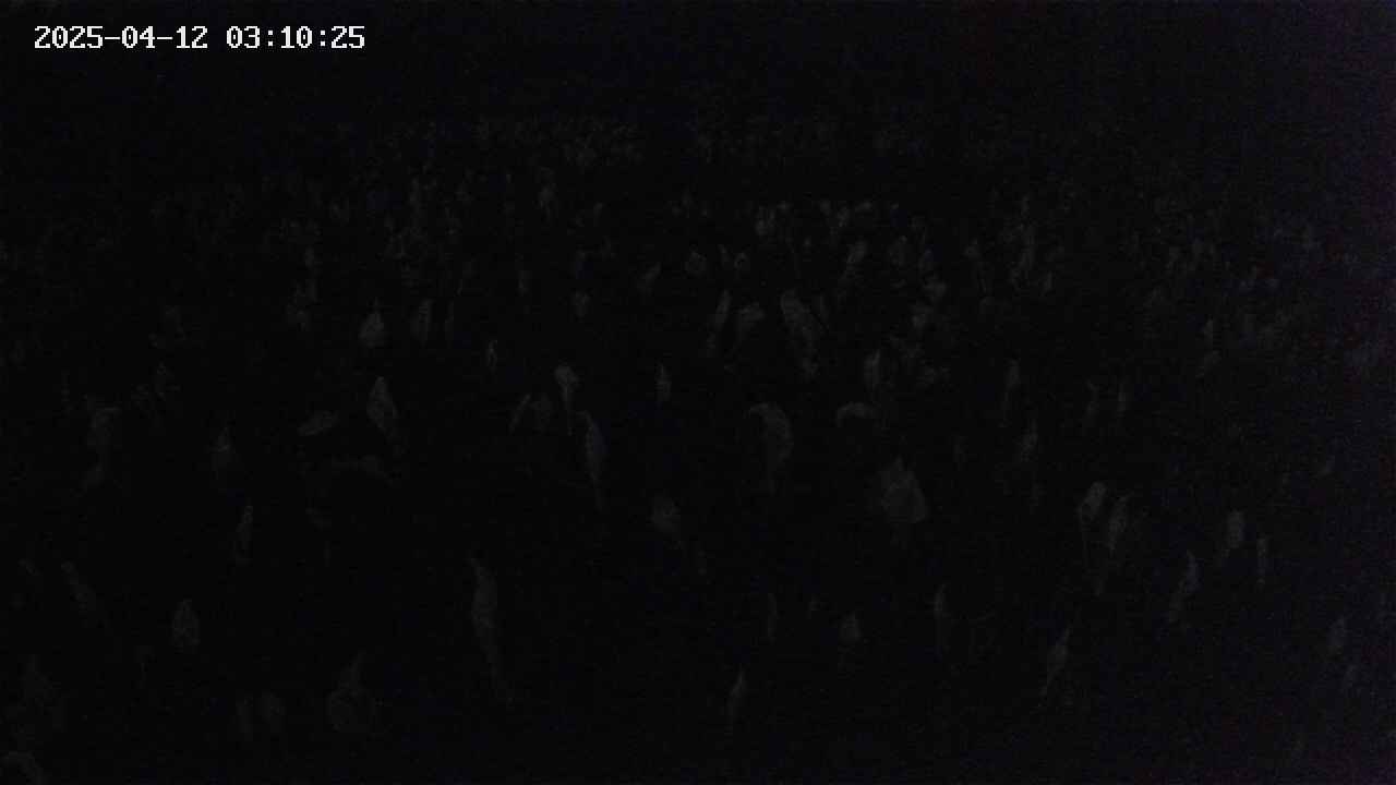 mizubasho2-20250412031026.jpg