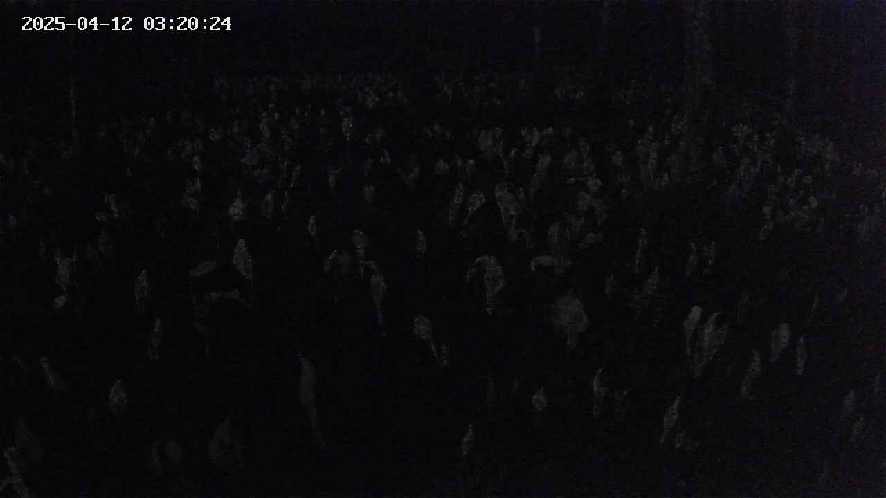 mizubasho2-20250412032025.jpg