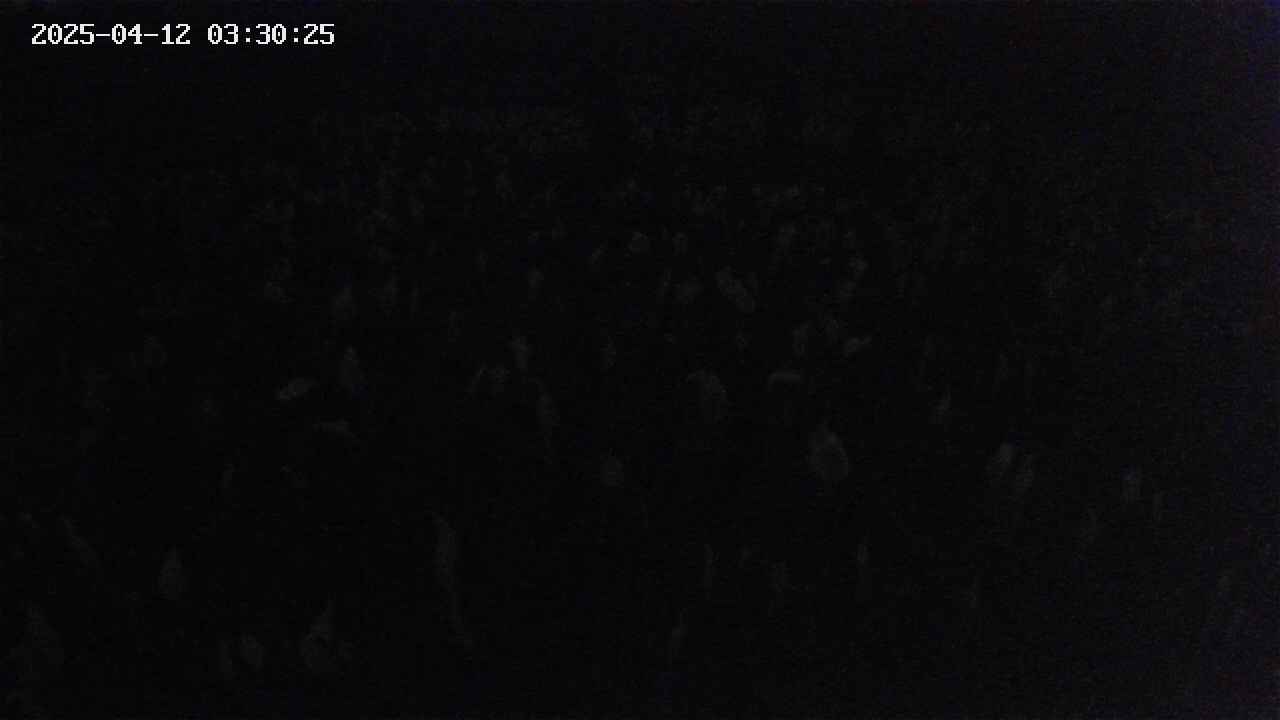 mizubasho2-20250412033026.jpg