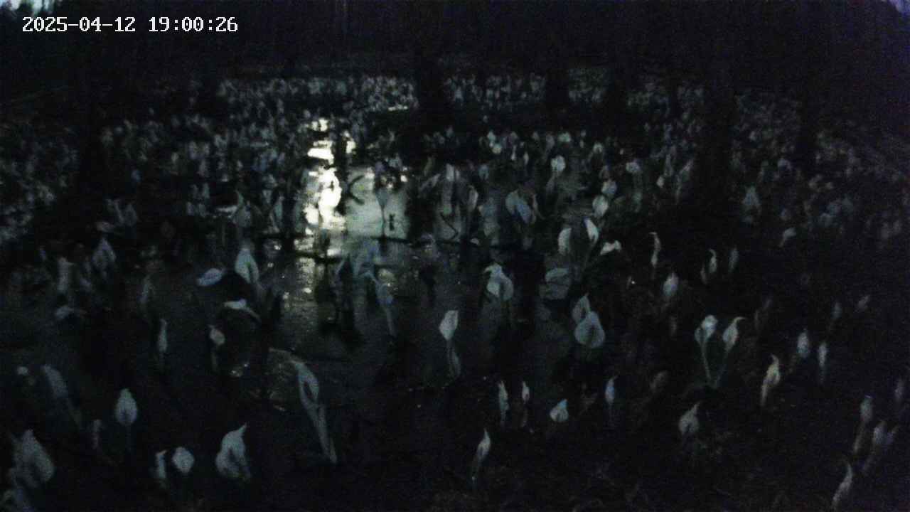 mizubasho2-20250412190027.jpg