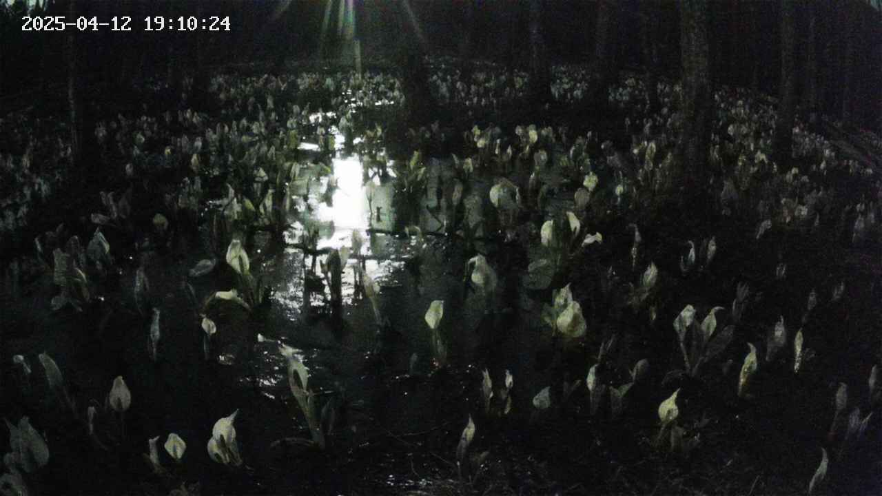 mizubasho2-20250412191025.jpg