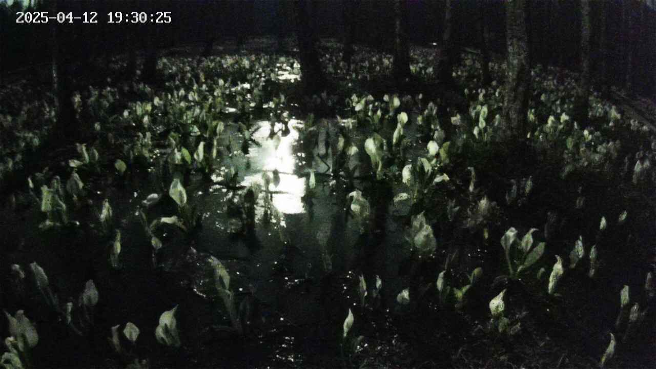 mizubasho2-20250412193027.jpg