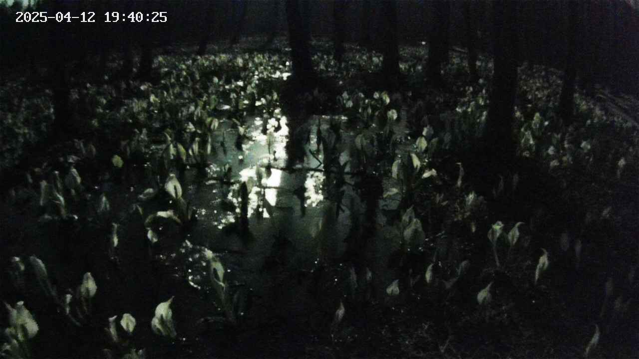 mizubasho2-20250412194027.jpg