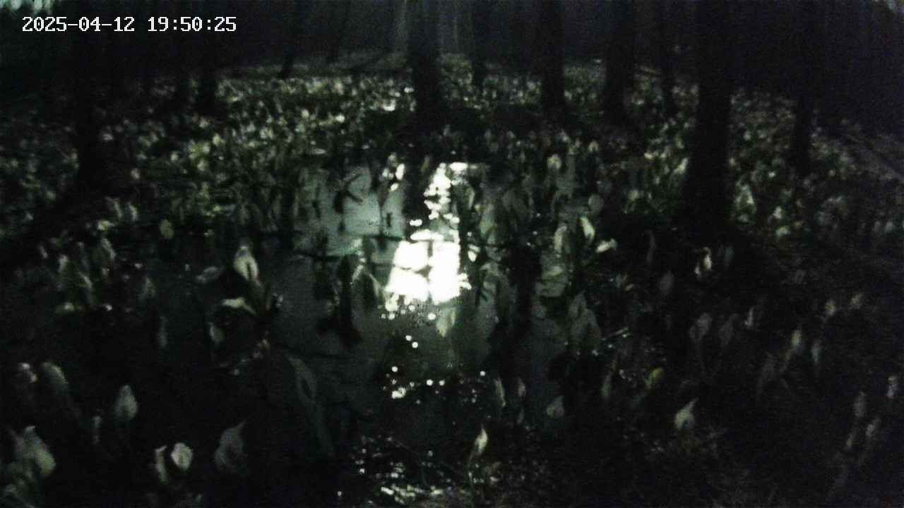 mizubasho2-20250412195026.jpg