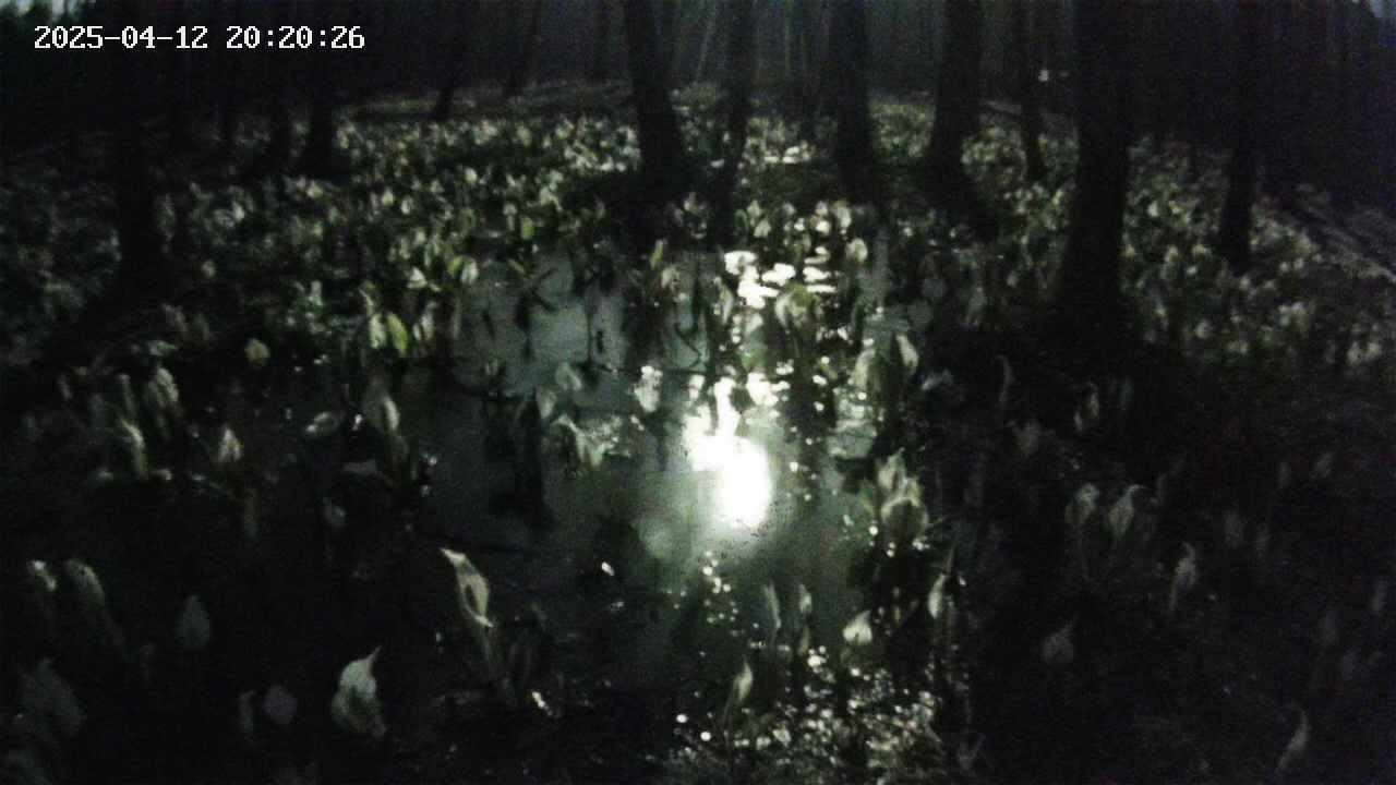 mizubasho2-20250412202027.jpg