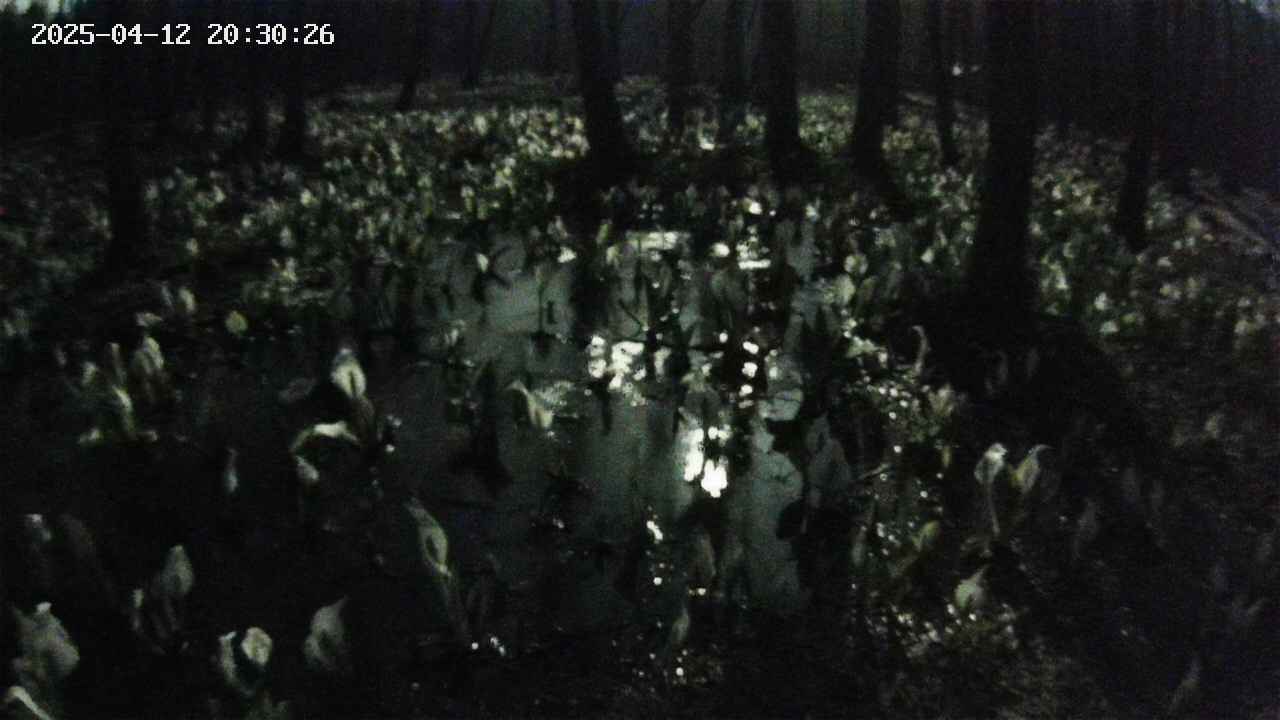 mizubasho2-20250412203027.jpg