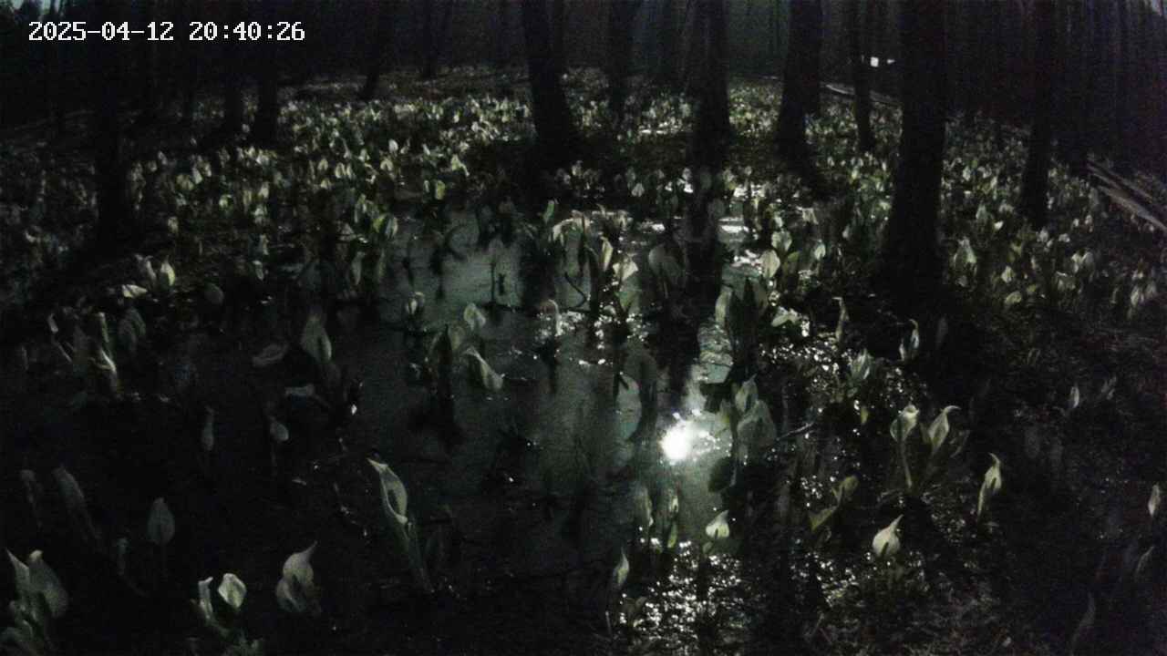 mizubasho2-20250412204027.jpg