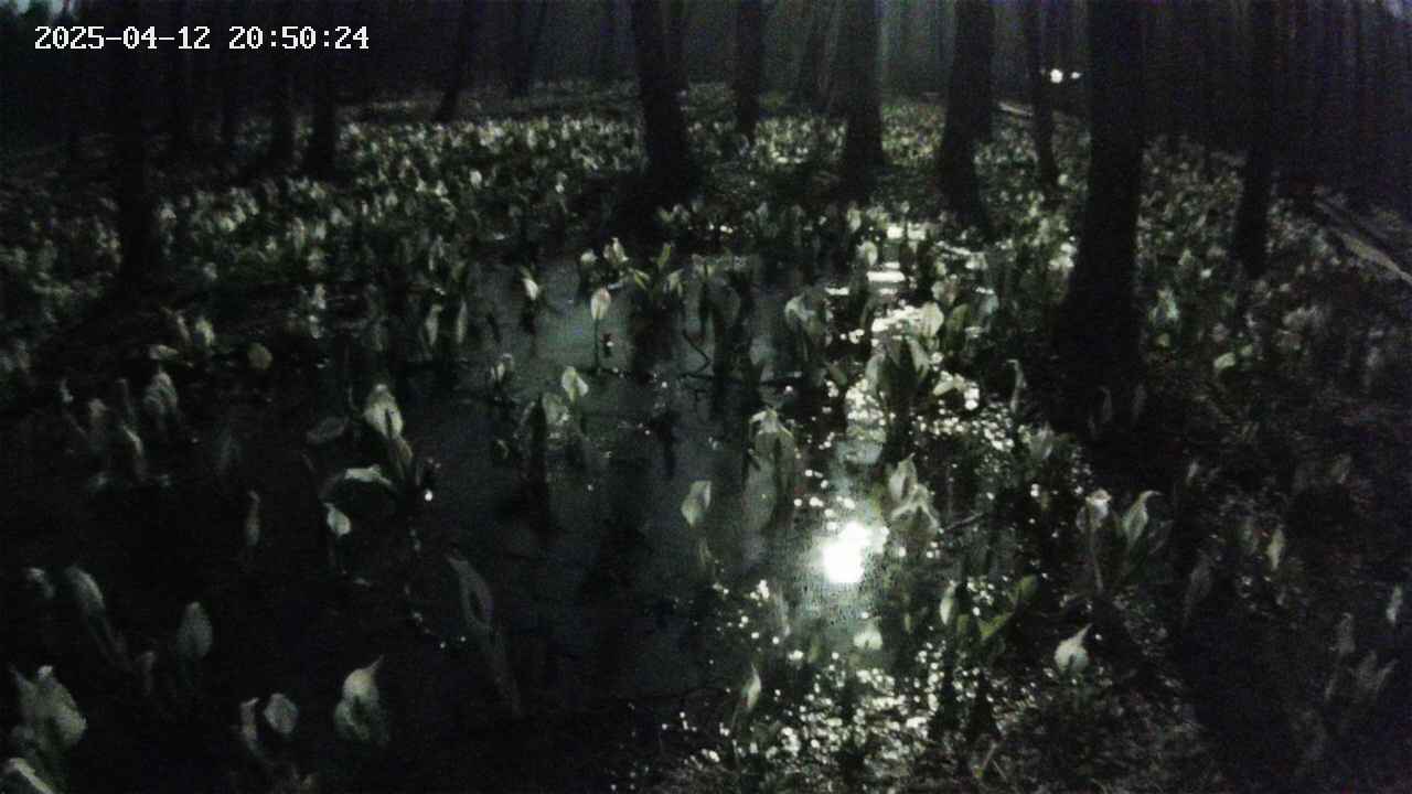 mizubasho2-20250412205025.jpg