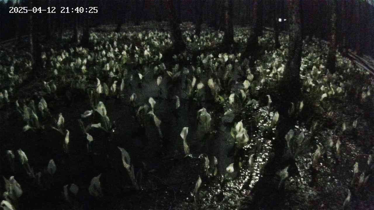mizubasho2-20250412214027.jpg