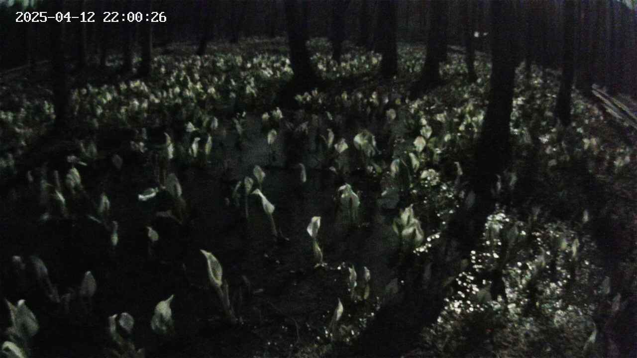 mizubasho2-20250412220028.jpg
