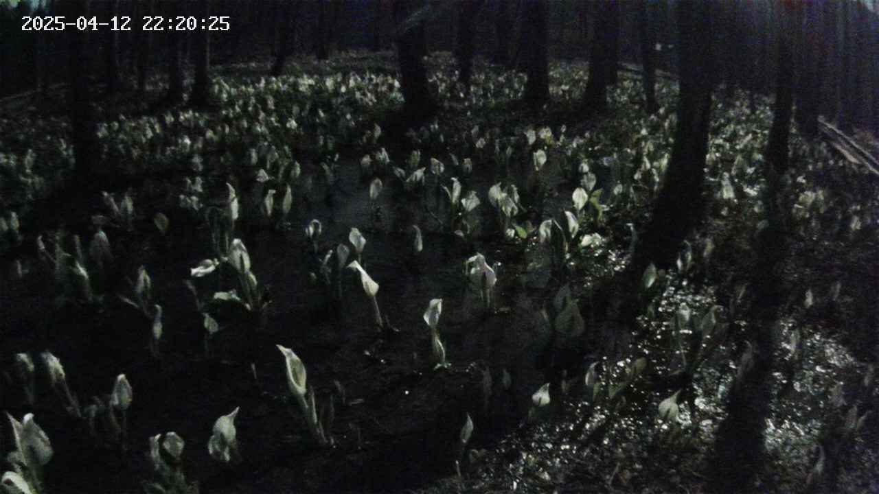 mizubasho2-20250412222027.jpg