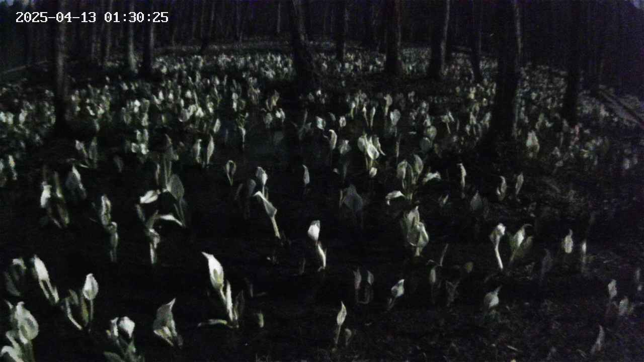 mizubasho2-20250413013027.jpg