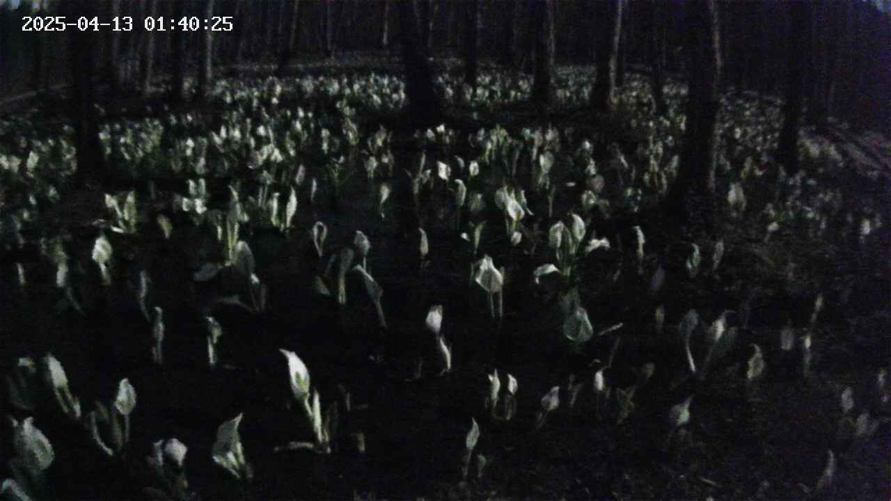 mizubasho2-20250413014027.jpg