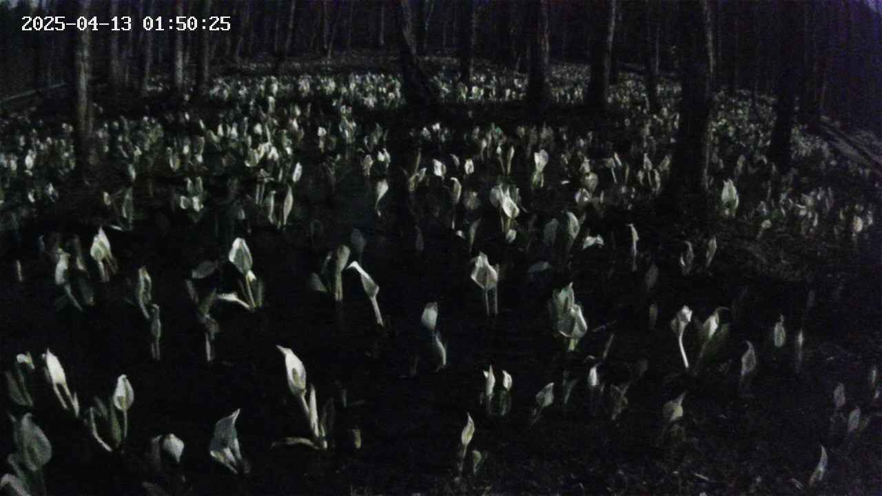mizubasho2-20250413015026.jpg