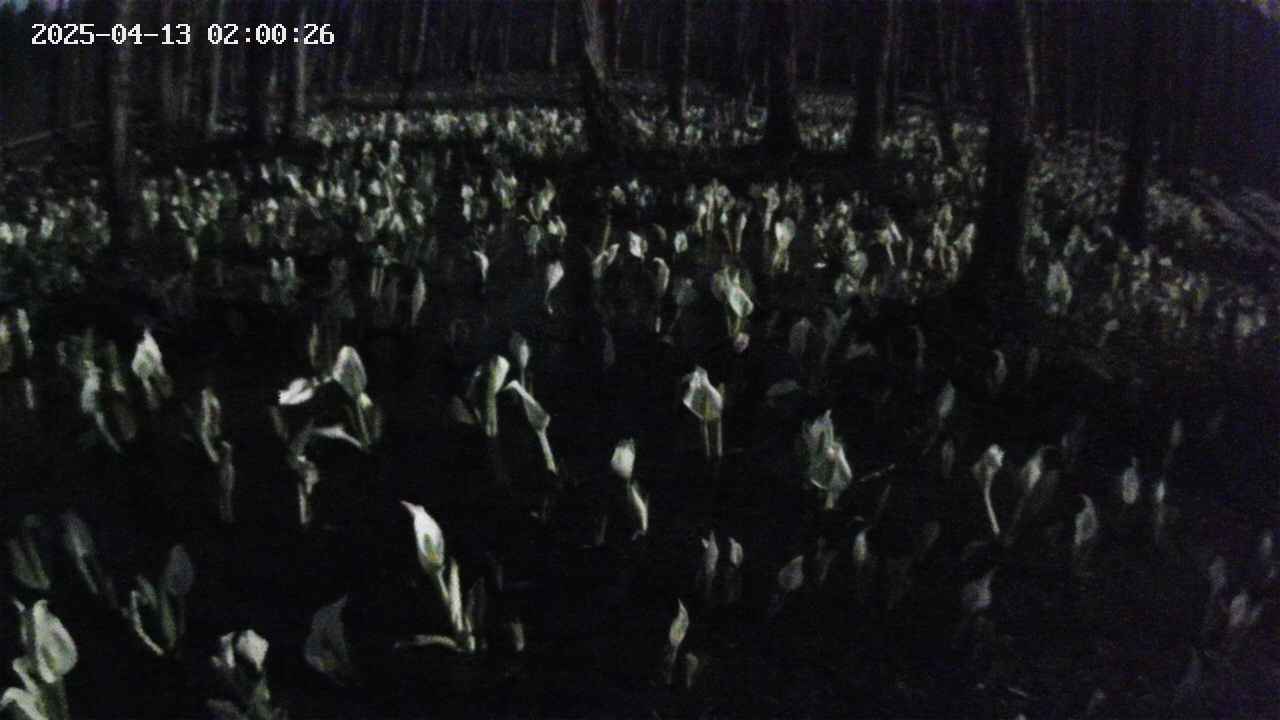 mizubasho2-20250413020027.jpg