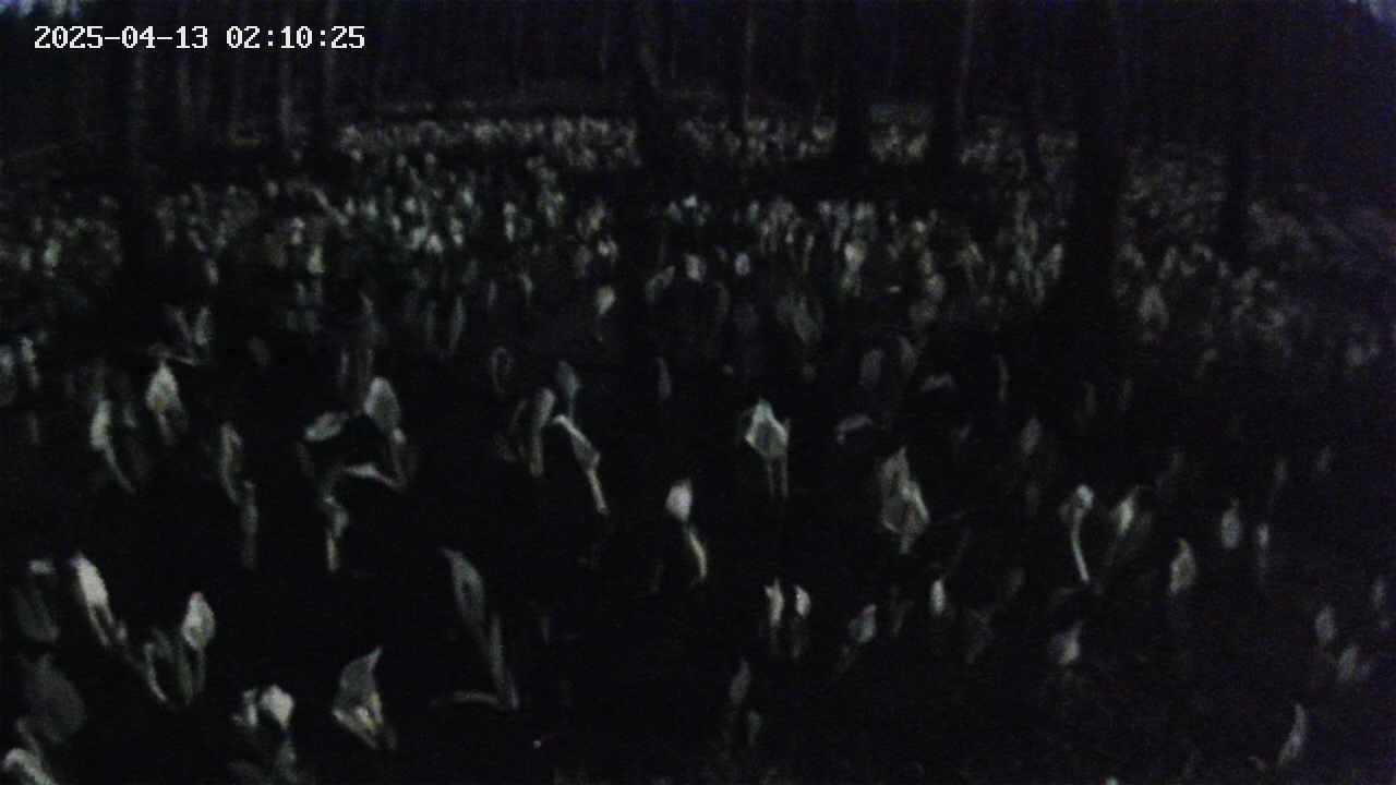 mizubasho2-20250413021027.jpg