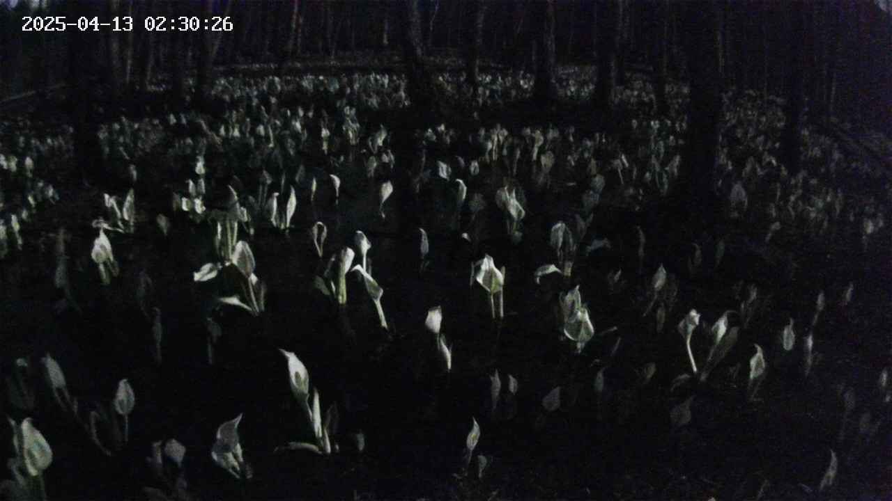 mizubasho2-20250413023028.jpg