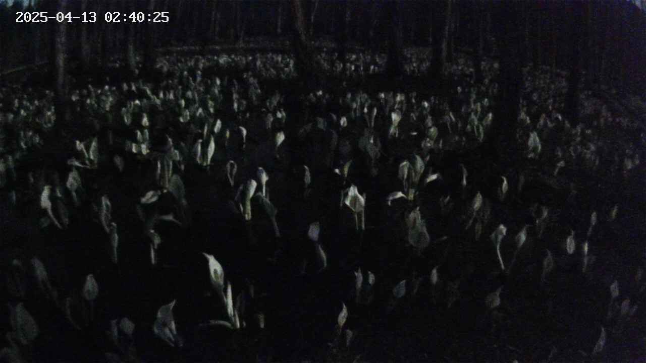 mizubasho2-20250413024026.jpg